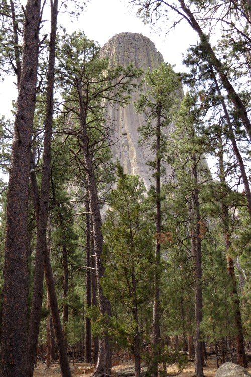 IMG_4161 Devil's Tower