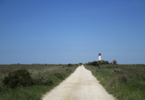 IMG_6044 Camargue La Digue