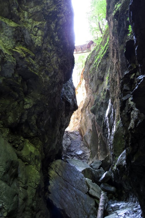 IMG_8336 Rappenlochschlucht