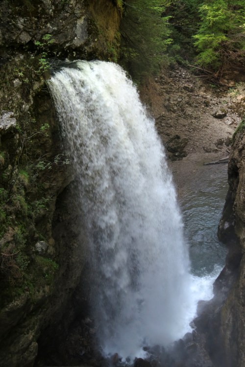 IMG_8340 Rappenlochschlucht