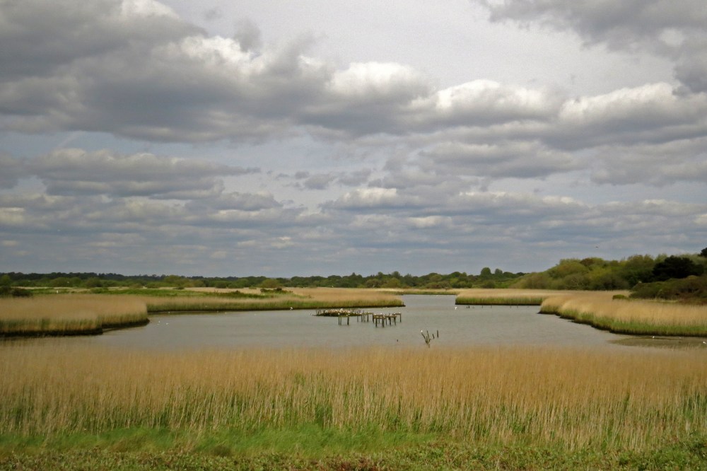 IMG_8527 Titchfield Haven