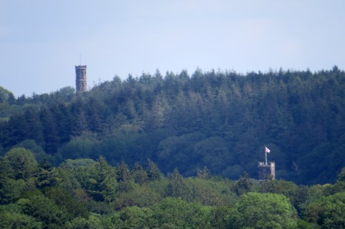 IMG_8692 Charborough Park