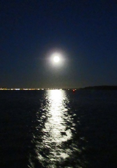 IMG_6326 full moon