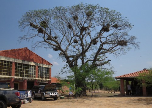 IMG_9543 Chaco accomodation