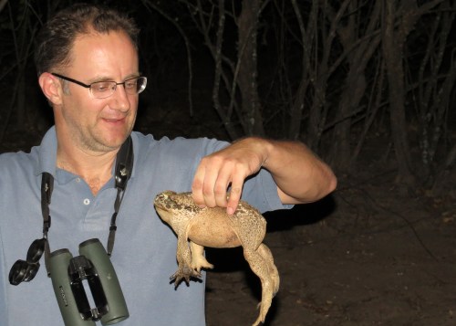 IMG_9585 Rob Rococo Toad