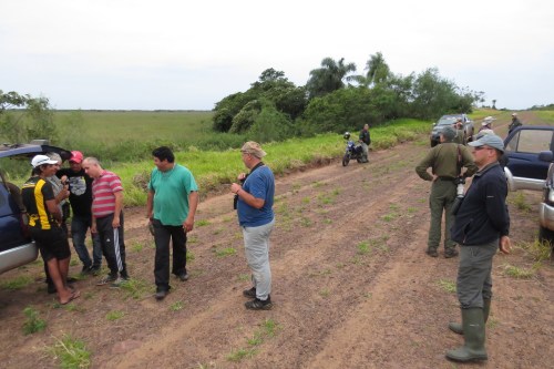 IMG_1252 nightjar site