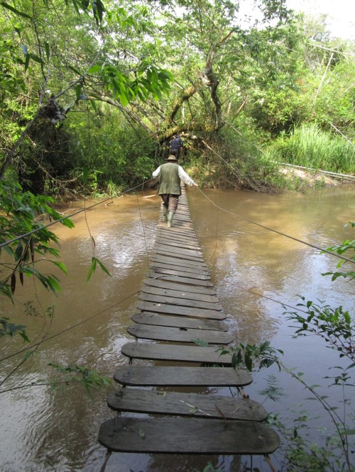IMG_6509 dodgy bridge