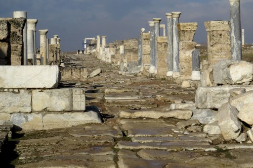 IMG_1789 Syrian Road