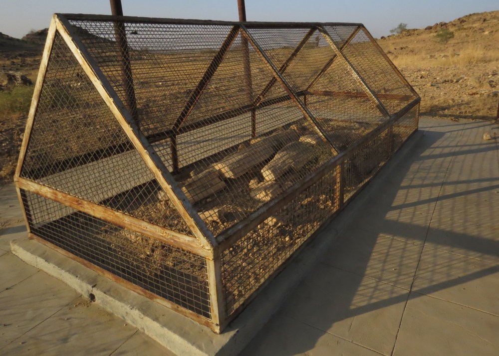 IMG_2829 Fossil Wood Park