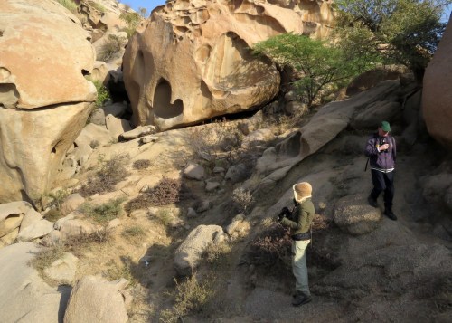 IMG_3069 eagle-owl site