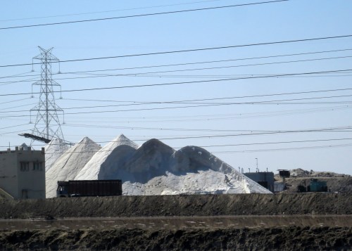 IMG_3456 salt Little Rann of Kutch