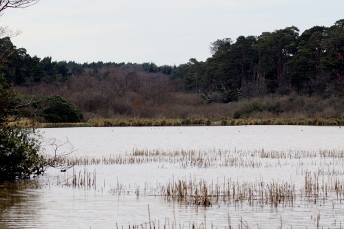 7F1A6019 Mordon Lake