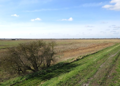 IMG_4015 Wicken Fen