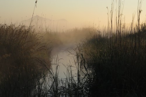 Albufera at dawn