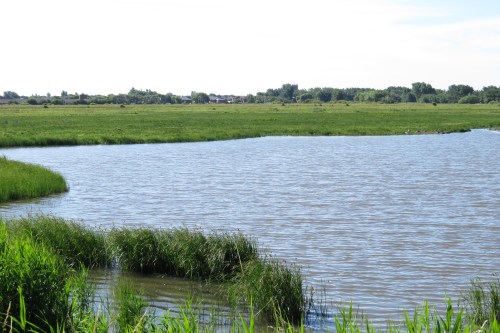 IMG_6192 Marshside RSPB