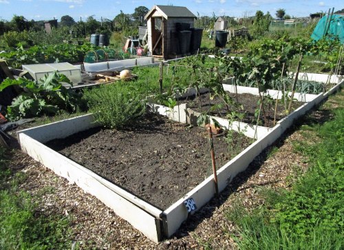 img_5026-allotment-for-web