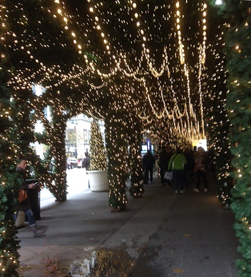 img_0670-christmas-lights