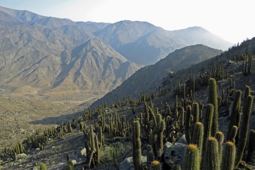 img_6418-lomas-des-chey