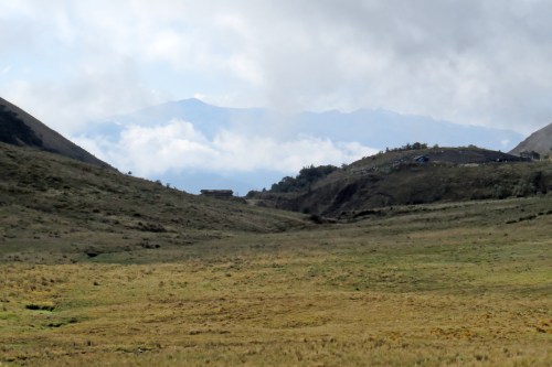 img_6958-bosque-unchog