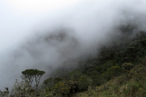 img_6973-bosque-unchog