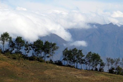 img_7048-below-bosque-unchog