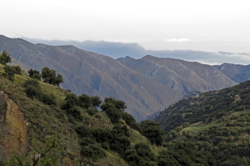 img_7235-huariaca-area