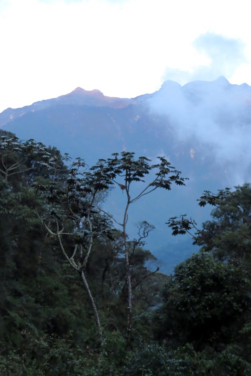 img_7987-apaylla-area