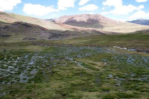 img_8196-marcapomacocha