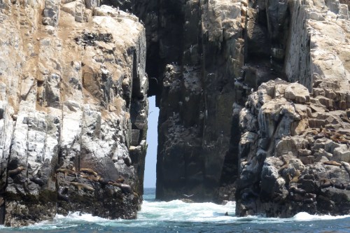 img_8496-crack-in-rock